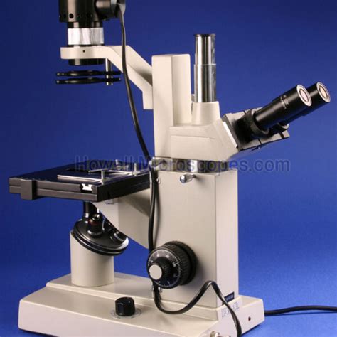 40x 400x Inverted Trinocular Tissue Culture Microscope W Phase