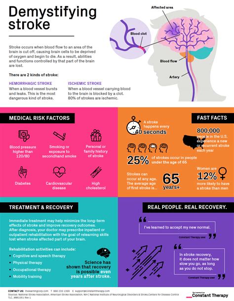 Demystifying Stroke Infographic Explains The Basics Constant Therapy