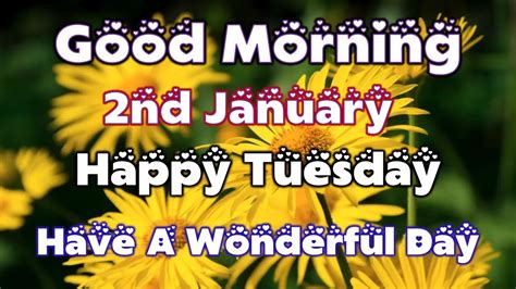Happy Tuesday Good Morning 2nd January Good Morning Video Wishes
