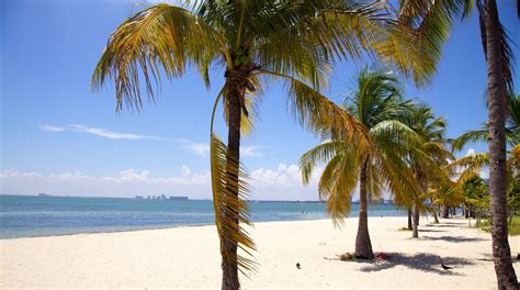 Visit Key Biscayne Best Of Key Biscayne Miami Travel 2023 Expedia