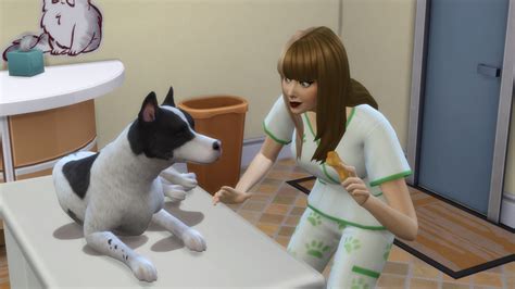 Angespielt Die Sims 4 Hunde Und Katzen Simtimes