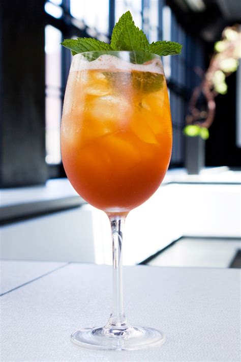 Before and after drinks can make the meal. Aperitif Recipes - Pre-Dinner Drink Ideas For Summer