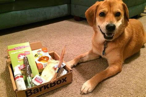11 Of The Best Rated Dog Toys To Ever Come In A Barkbox Barkpost