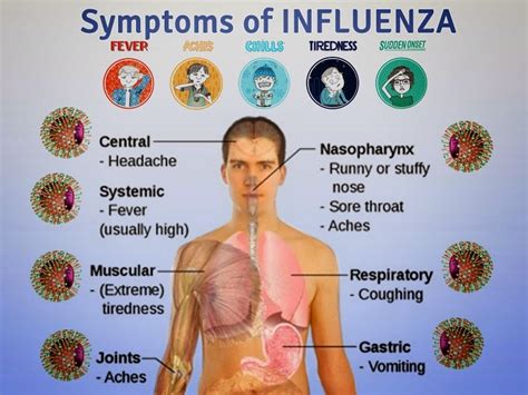 Ia disebabkan oleh virus influenza a atau b (jenis virus yang banyak menyebabkan wabak influenza). Tahukah Anda?: Apa itu INFLUENZA?