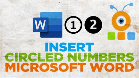 Microsoft Word Symbols Circles Numbers Innovationstide