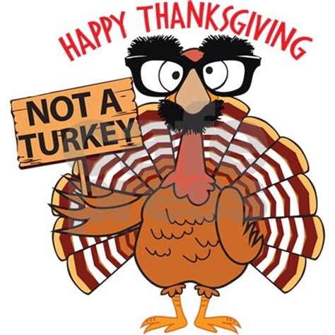 Download funny thanksgiving stock photos. Funny Thanksgiving Turkey - Not a Turkey, Happy Th by ...