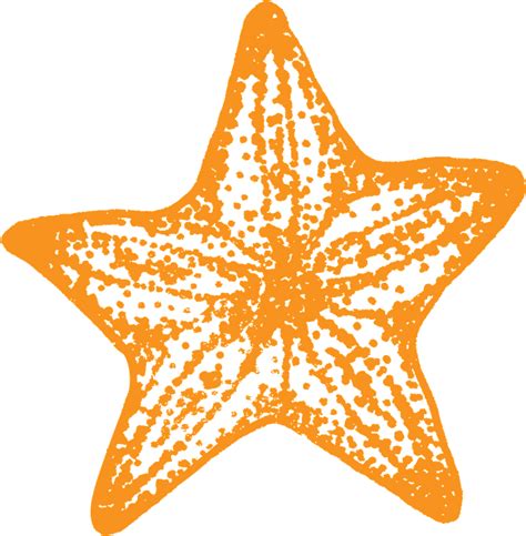 Starfish Clipart Free Download Transparent Png Creazilla