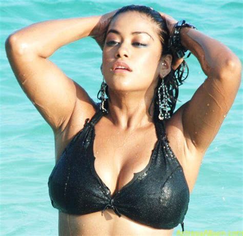 tamil actress hot bikini photos collection movieezreel blogspot