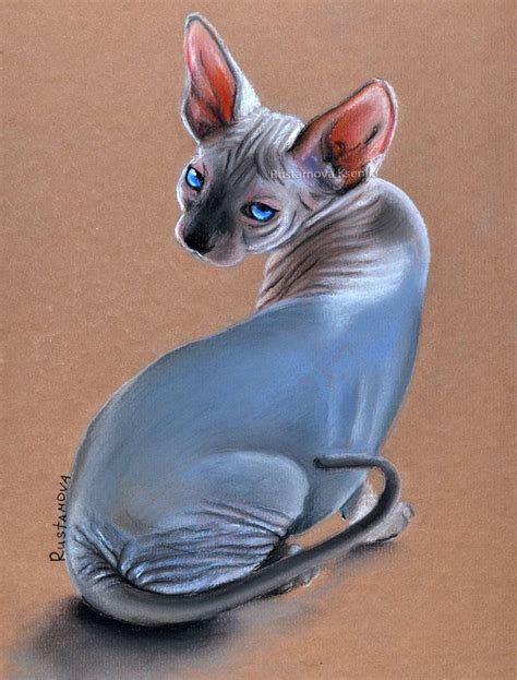 Sphynx By Rustamova On Deviantart Sphynx Art Art Inspiration