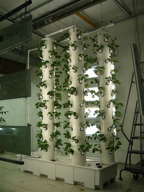 Awesome 38 Incredible Hydroponic Garden At Backyard Gardenmagz