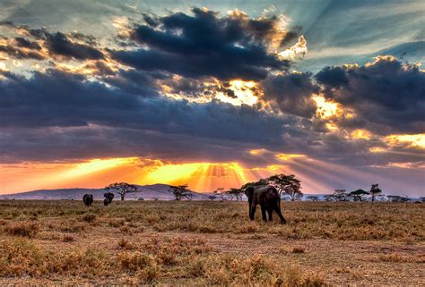 Serengeti National Park National Park In Tanzania Thousand Wonders
