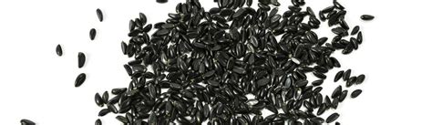 Rarexoticseeds Buy Rare And Exotic Seeds Online
