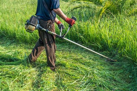 The Gardener Cutting Grass By Lawn Mower Stock Photo Image Of