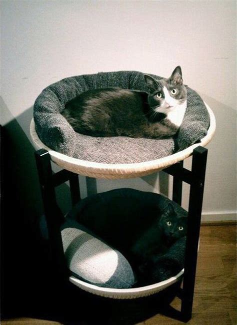double cat beds homemydesign