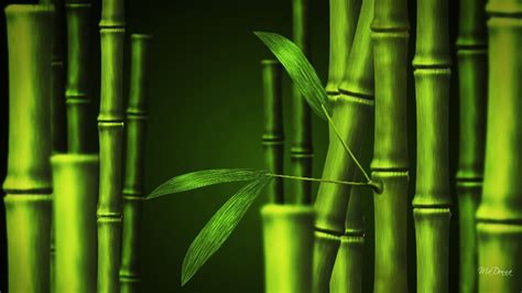 Desktop Bamboo Hd Wallpapers