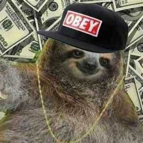 Swag Sloth