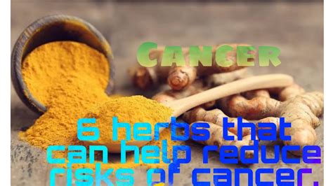 6 Herbs That Can Help Reduce Risks Of Cancer Herbs Fight Against