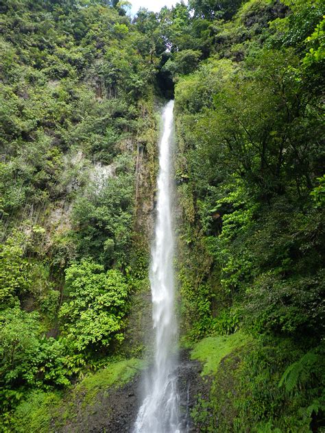 middleham falls biggest falls in dominica sarah flickr