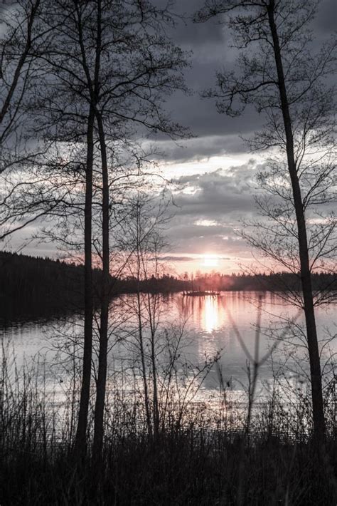 Free Images Landscape Tree Water Nature Forest Horizon