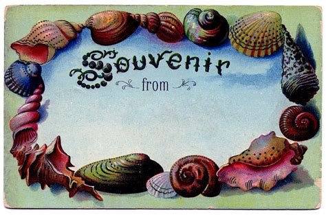 Vintage Clip Art Souvenir Seashell Postcard The Graphics Fairy