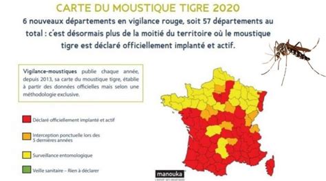 La Carte De France 2020 Du Moustique Tigre Issuesfr