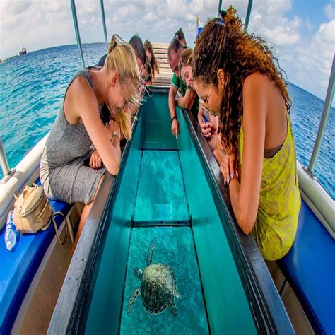 Glass Bottom Boat Ride In Andaman Islands Book Glass Bottom Boat Ride