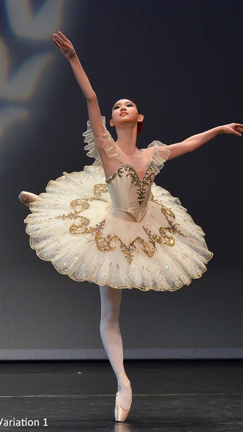 Пин на доске Art Ballet Costuming