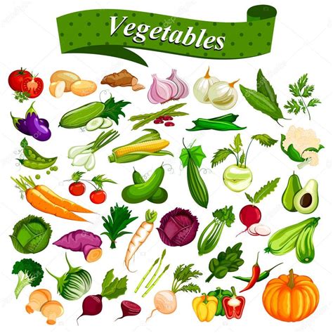 Illustration Of Full Collection Of Different Types Of Fresh And Healthy