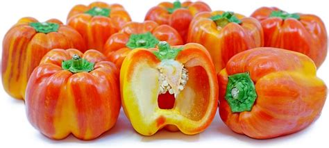 Striped Holland Bell Peppers Information Recipes And Facts Stuffed