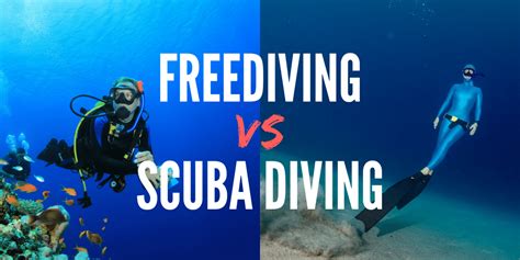 Freediving Vs Scuba Diving Deeperblue Com