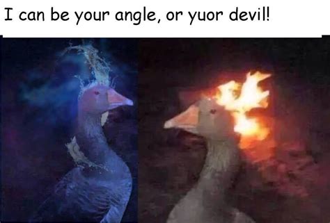 I Can Be Your Angle Or Yuor Devil Goose On Fire Fire Duck Know