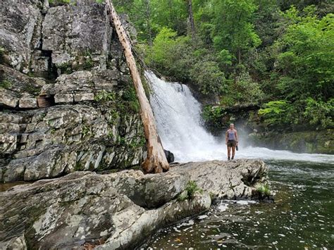 Abrams Falls Trail Great Smoky Mountains National Park 2020 All You