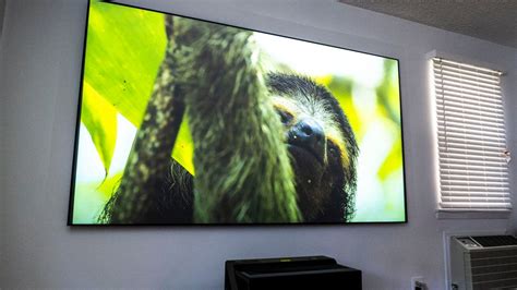 Hisense Is Bringing Its Mammoth 100 Inch 4k Tv To Australia Gizmodo