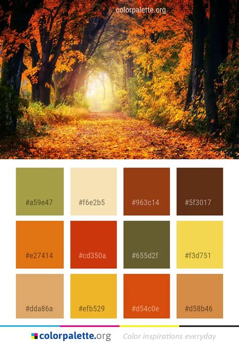 Nature Autumn Leaf Color Palette