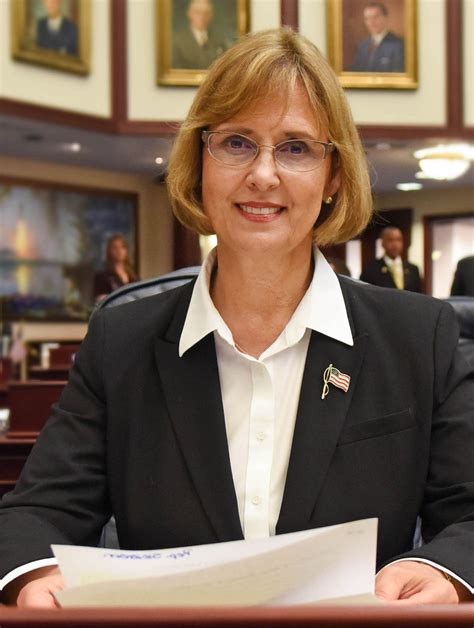 Clean Up City Of St Augustine Florida Rep Cyndi Stevenson Named To