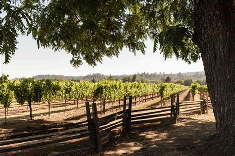 Discover the Best Hidden Gems in Healdsburg, CA! | Regretless