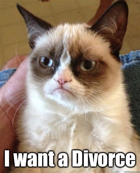I Want A Divorce Grumpy Cat Quickmeme