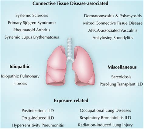 Frontiers | Immune-mediated lung diseases: A narrative review