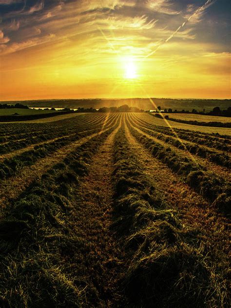 Sunset Over The Farm Field Photograph By Dafydd Jones Pixels