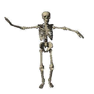 Mr Bones Body Bones Humor Optical Illusion Gif Skeleton Dance Amazing Gifs Danse Macabre