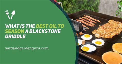 What Is The Best Oil To Season A Blackstone Griddle