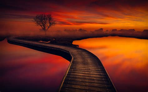 Download Tree Path Pier Orange Color Photography Sunset Hd Wallpaper