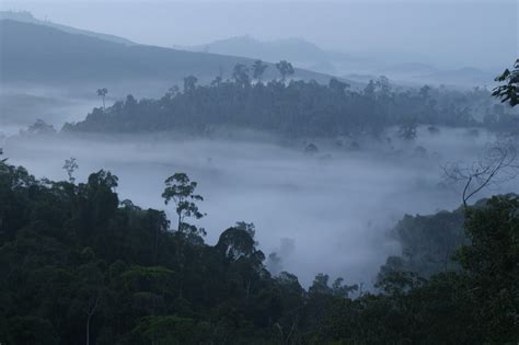 The Sabah Government Announces A Major Expansion To Protected Forests