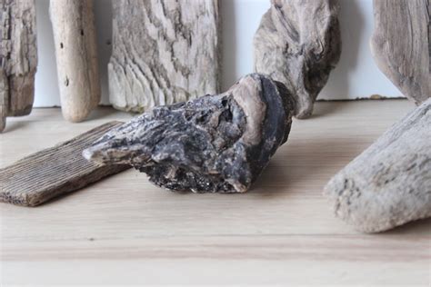 Driftwood Floating Wood Driftwood 16 Small Woods Garden Etsy