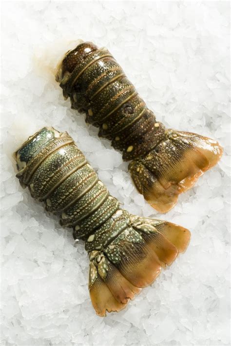 Can You Freeze Lobster Tails Yes And Heres How To Do It Right Frozen Lobster Frozen