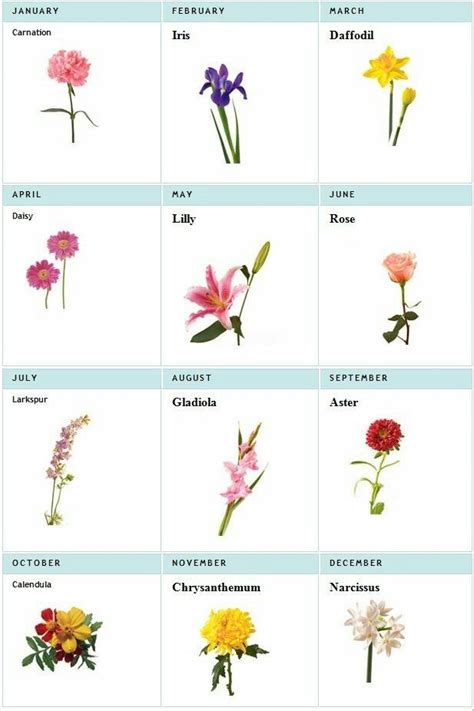 Tattoo Birth Flower Chart