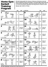 Weight Bench Exercise Routines Pictures
