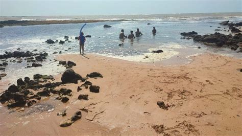 Praia Da Bosta Sua Opção De Lazer Neste Verão Oferecimento Cesan Ambiental Serra Serra Noticiário