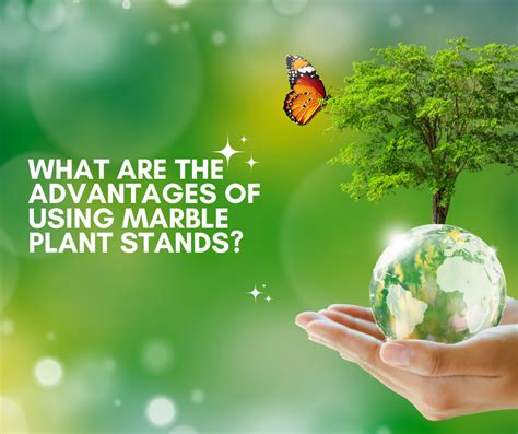 What Are The Advantages Of Using Marble Plant Stands