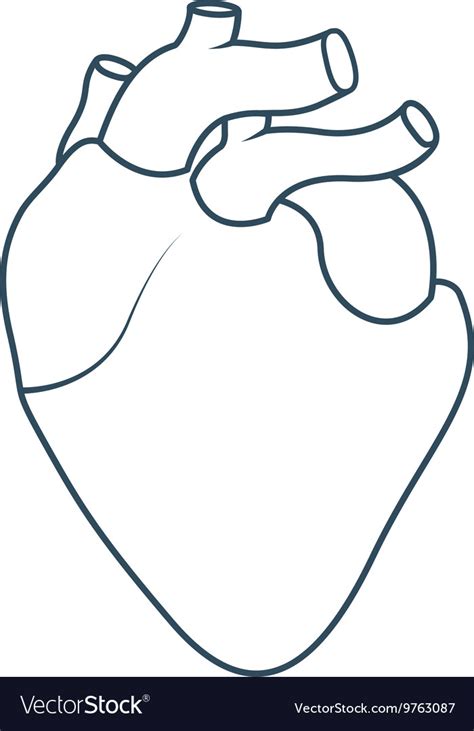 Human Heart Anatomy Isolated Icon Design Vector Image
